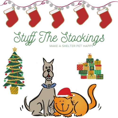 “Stuff the Stockings”