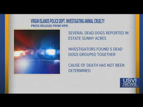 Police Investigate Animal Cruelty Case in Estate Sunny Acres