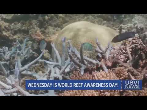 First Day of June is World Reef Awareness Day