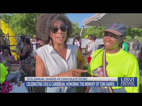 Shades of Chocolate Picnic Celebrates USVI, Honors Memory of Toni Harris