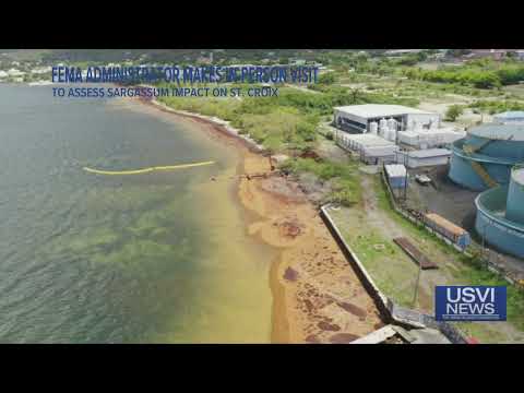 FEMA Administrator Assesses Sargassum Impact on St. Croix