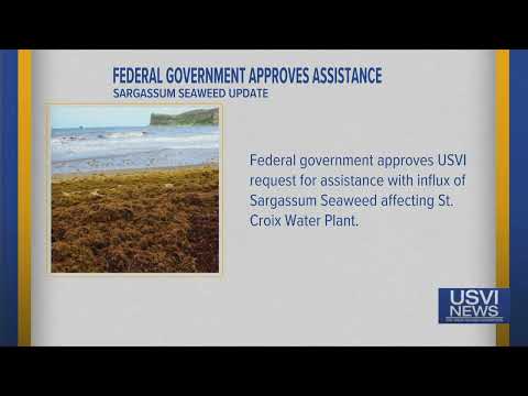 Federal Government Approves Assistance for Influx of Sargassum Seaweed