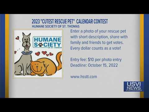 Humane Society of St. Thomas Hosting Cutest Rescue Pet Calendar Contest