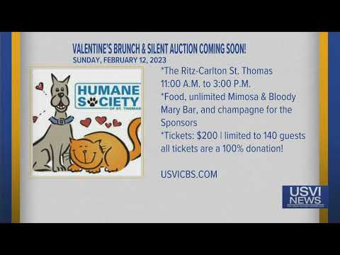 Valentine’s Brunch, Silent Auction to Raise Money for Humane Society of St. Thomas