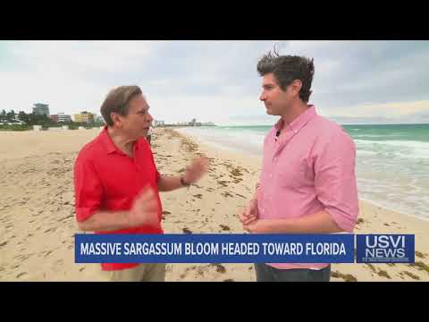 Giant Seaweed Blob Heads for Florida