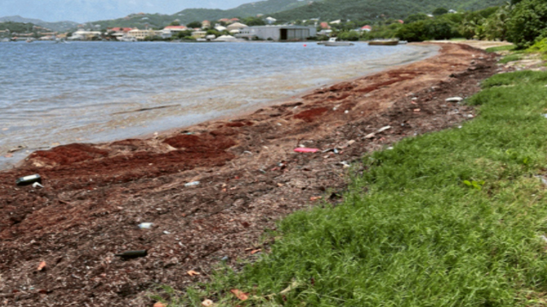 USDA Makes Grants Available to Help Virgin Islanders Impacted by the massive Sargassum Seagrass Influx in 2022