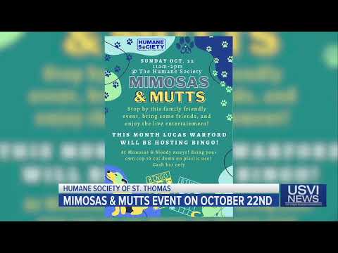 Humane Society of St. Thomas to Host Mimosas & Mutts Oct. 22