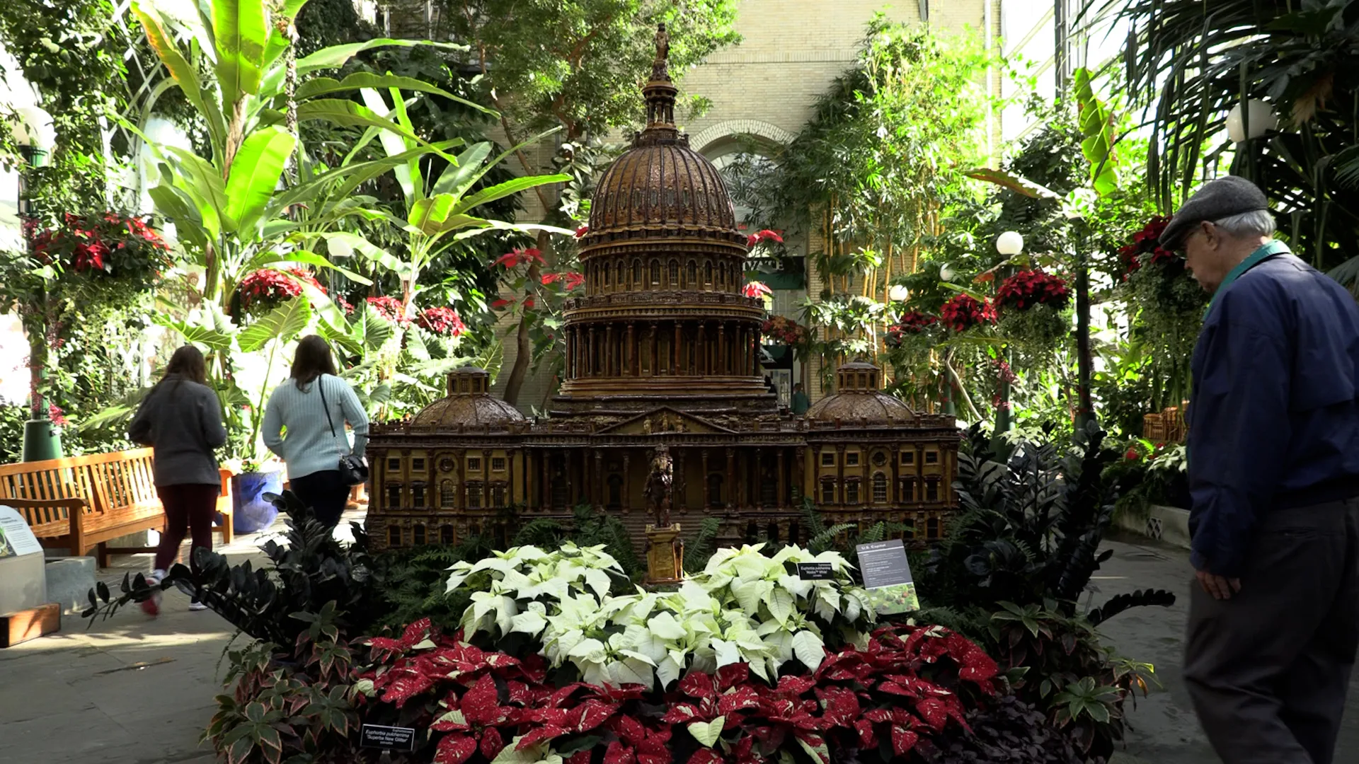 US Botanic Garden Unveils “Season’s Greenings” Holiday Exhibit