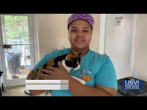 Meet Mary Poppins: Humane Society of St. Thomas Pet of the Week