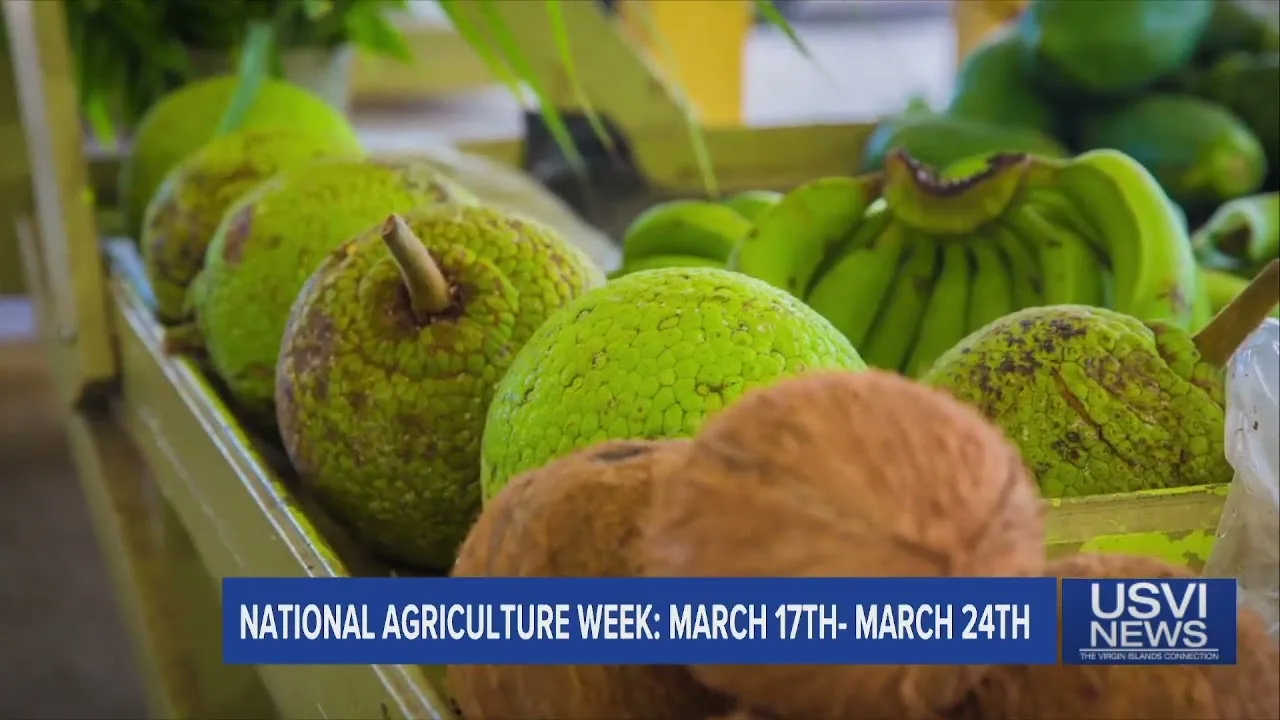 Governor Declares National Agriculture Week in USVI