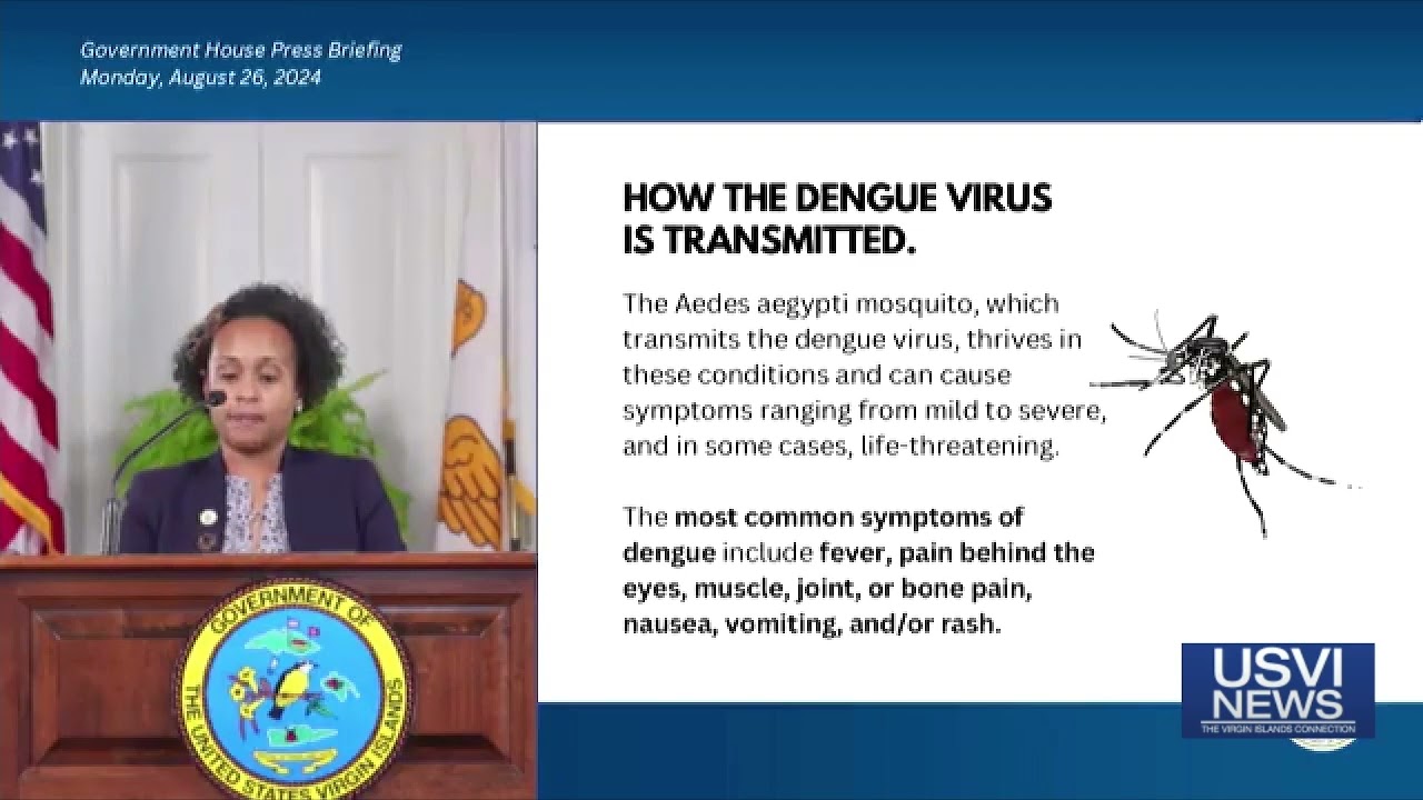 Dengue Cases Rising in USVI