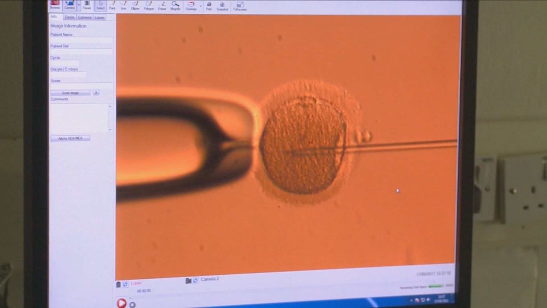 Senate Fails to Advance IVF Legislation, House Members Offer Different IVF Bill