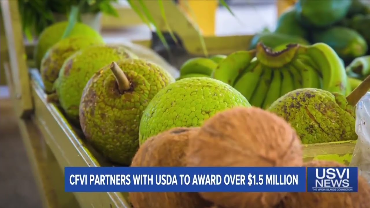 CFVI Partners with USDA to Award More than $1.5M