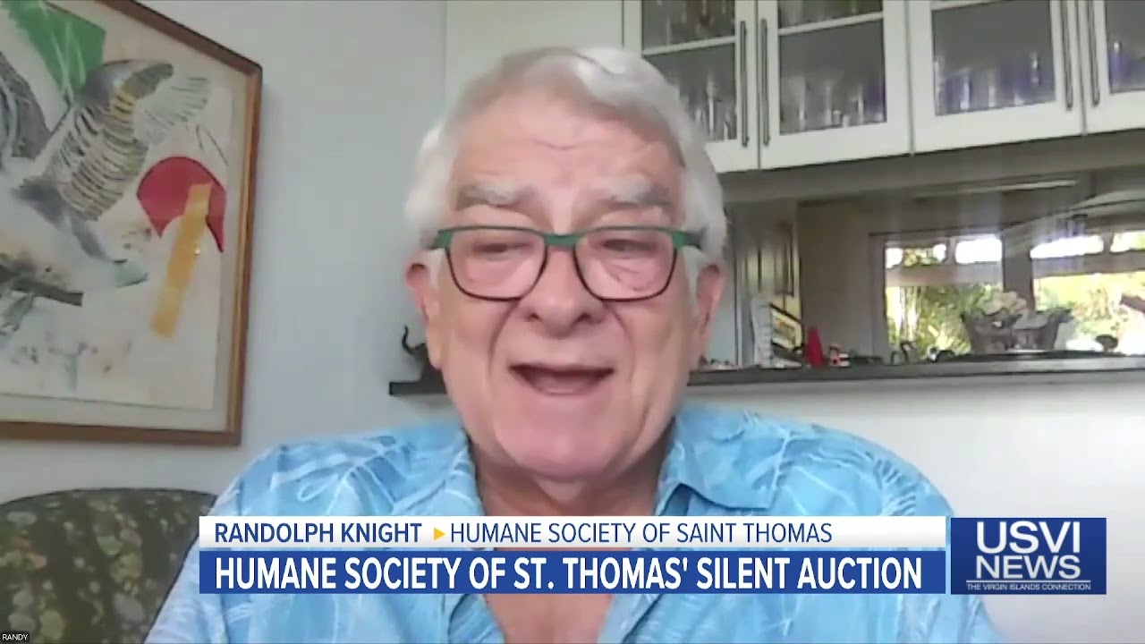 Silent Auction to Benefit Humane Society of St. Thomas