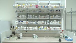 Trump Signs Executive Order Directing Companies to Lower Drug Prices