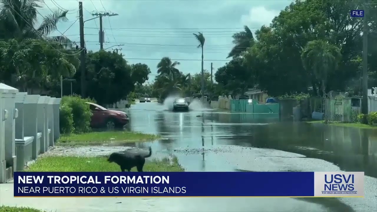 New Tropical Formation