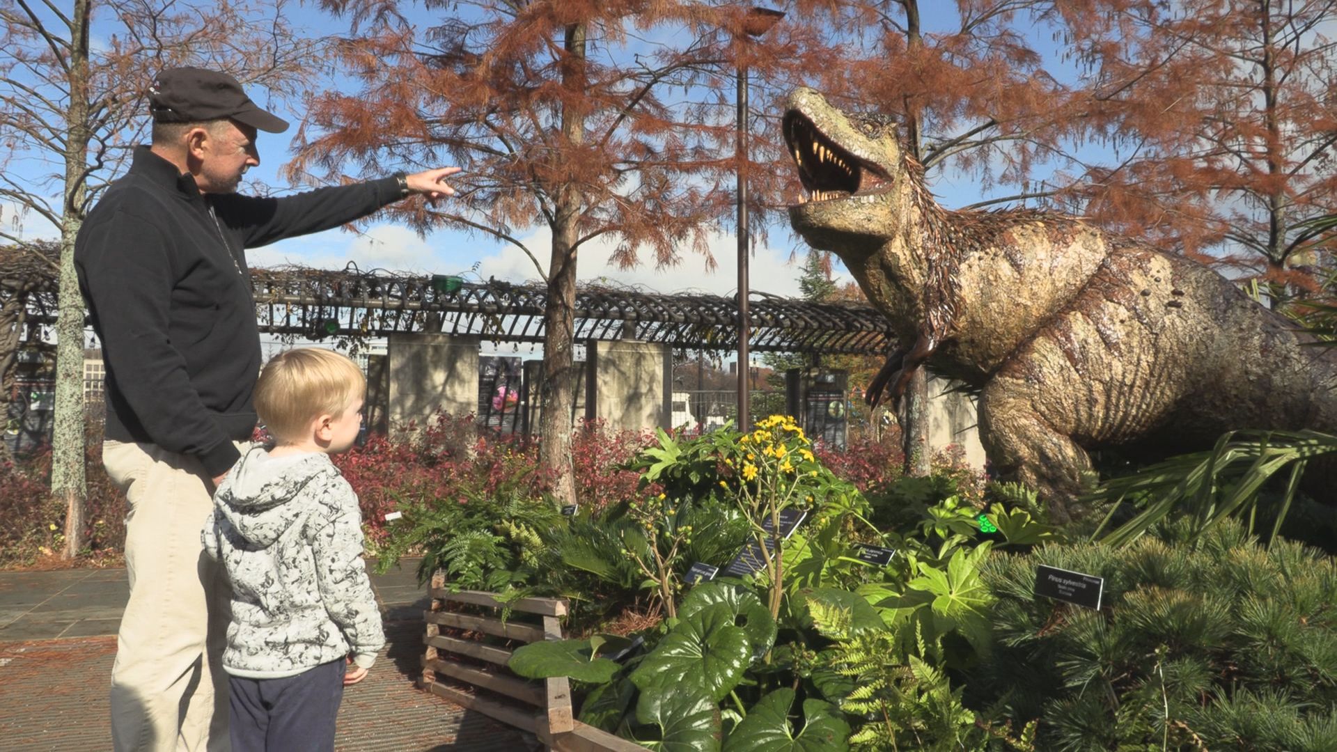 Holiday Wreaths, Trains and Dinosaurs? US Botanic Garden Unveils Unique Holiday Display