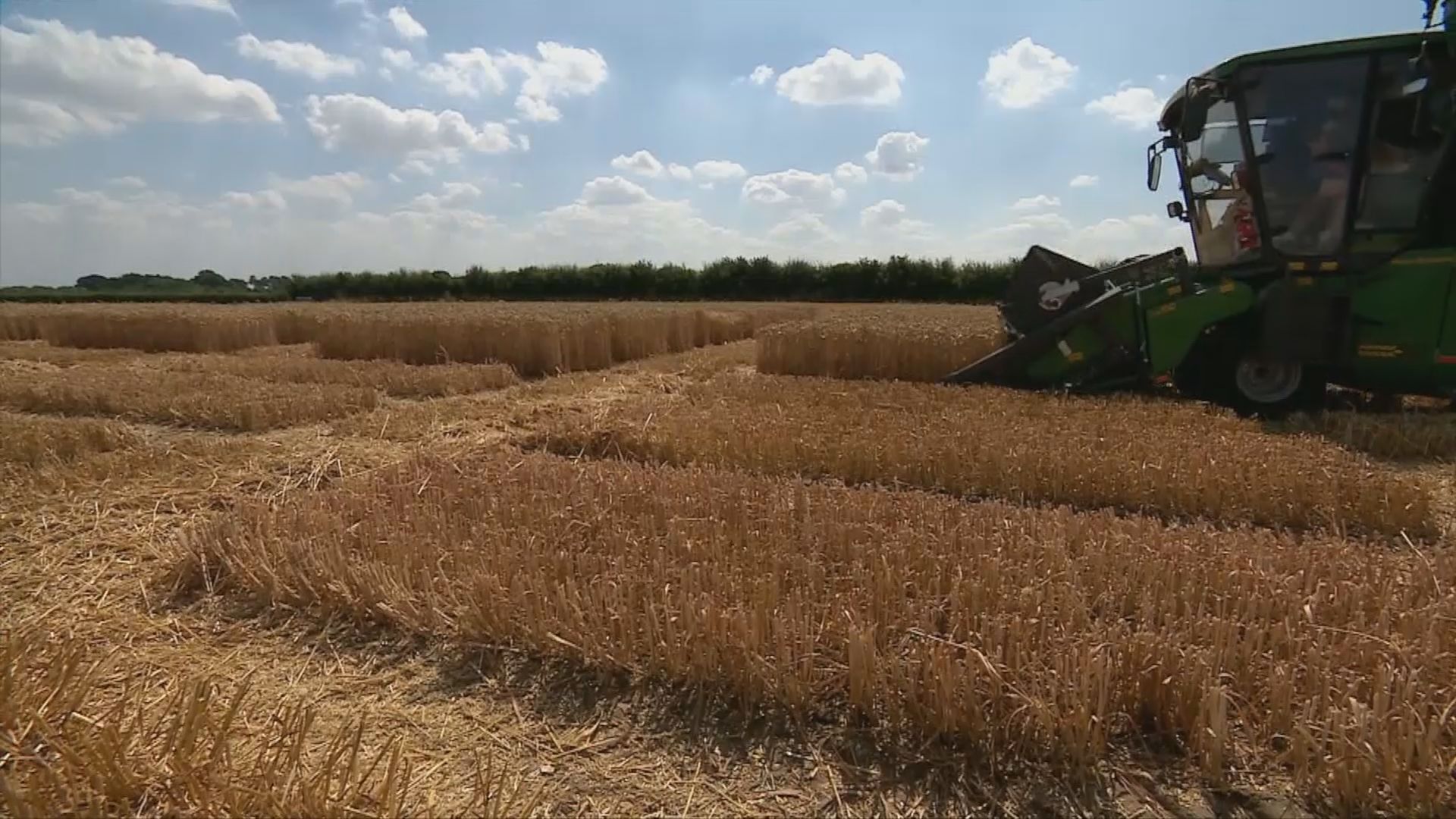 House Makes Changes to Farm Bill, Faces Uphill Battle in Senate