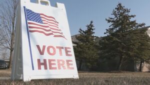 Senate Democrats to Deploy Election Observers Across the Nation